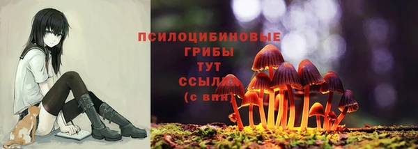 амфетамин Алексин