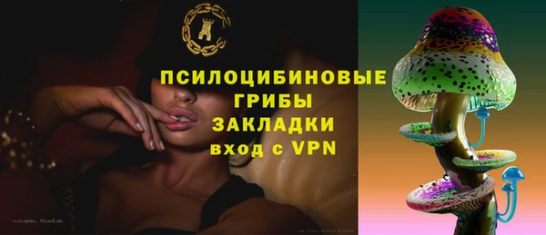 хмурый Алзамай