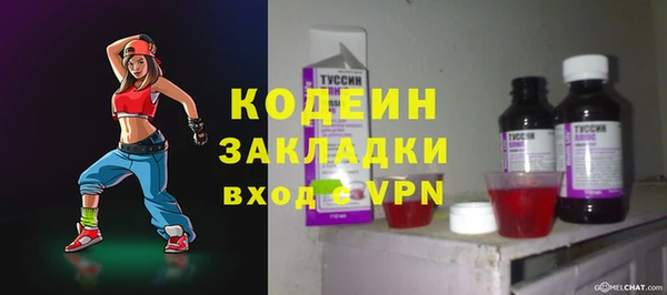 хмурый Алзамай