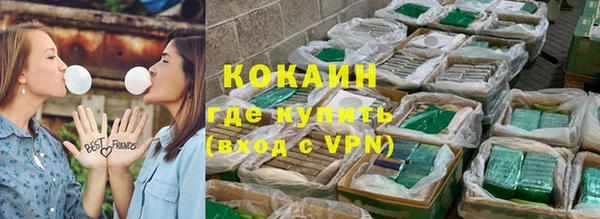 хмурый Алзамай
