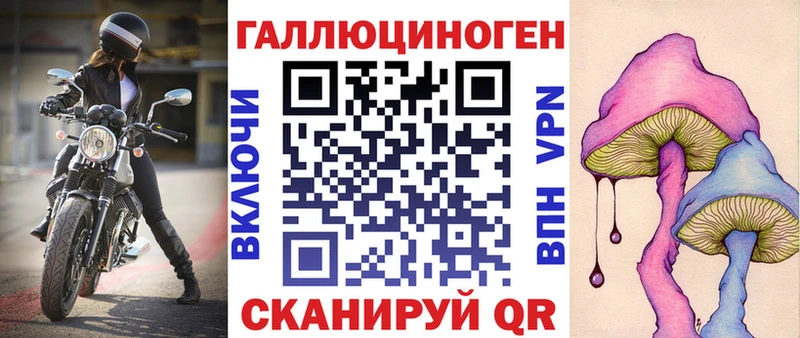 цены   Краснообск  Галлюциногенные грибы Psilocybine cubensis 