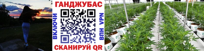 ОМГ ОМГ рабочий сайт  Краснообск  Канабис гибрид 